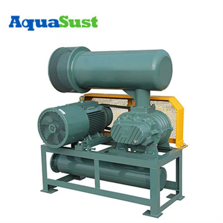 Roots Air Blower